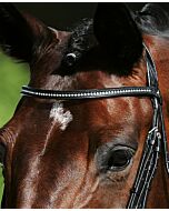 Passier Frontriem met Strass Stenen