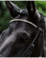 Passier Frontriem met Grote Strass Stenen 