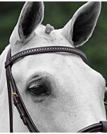 Passier Frontriem met Strass Staafjes