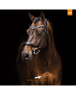 Schockemohle Hoofdstel Equitus Beta