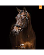 Schockemohle Hoofdstel Equitus Beta