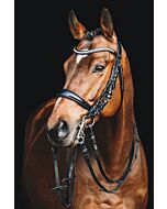 Schockemöhle Stang en Trens Hoofdstel Equitus Gamma