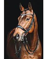 Schockemöhle Stang en Trens Hoofdstel Equitus Gamma