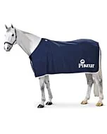 Eskadron Loden Statiedeken