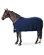 Eskadron Wollen Deken