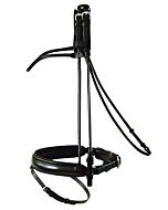 Passier Hoofdstel Bremen