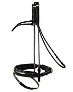 Passier Hoofdstel Bremen