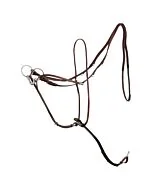 BR thiedemann Teugel Lancaster