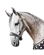 Eskadron Halster Dots NICI