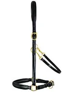 Passier Leren Stalhalster