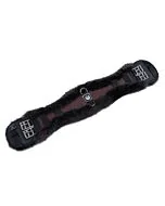 Christ Dressuursingel