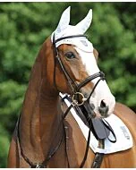 Passier Hoofdstel Marcus Ehning