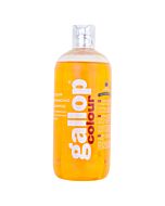 Carr & Day & Martin shampoo Gallop Colour Chestnut 500 ml