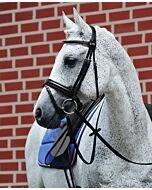 Passier Hoofdstel Fortuna