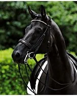 Passier Stang en Trens Hoofdstel Icarus