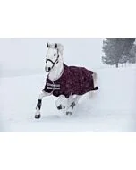 Amigo Hero Ripstop 200 gram Fig / Silver