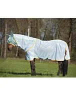 Amigo Bug Rug Azure Blue / Aqua & Orange