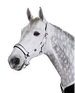 Eskadron Platinum Pure Halster Glossy White