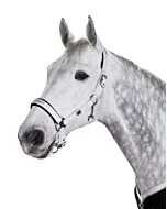 Eskadron Platinum Pure Halster Glossy White