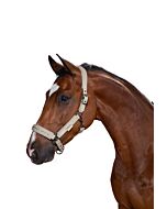 Eskadron Halster Double Pin Crystal Platinum Greige