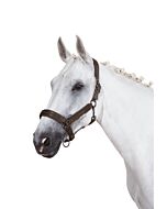 Eskadron Halster Double Pin Crystal Platinum Havanabrown