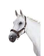 Eskadron Halster Double Pin Crystal Platinum Havanabrown