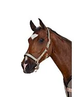 Eskadron Heritage Halster Glossy Double Pin Ivory Grey