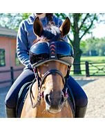 eQquick eVysor Darker