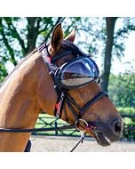 eQquick eVysor Transparant