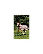 Amigo Mio Fly Rug Bronze Red