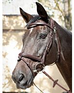 Equiline Hoofdstel Ready to go Jumping
