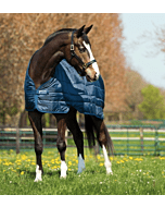 Horseware Liner 100 gram
