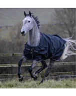 Bucas Trotting 50 grams Black