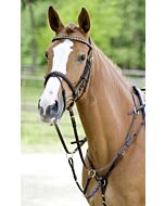 Schockemöhle elastisch voortuig Race II