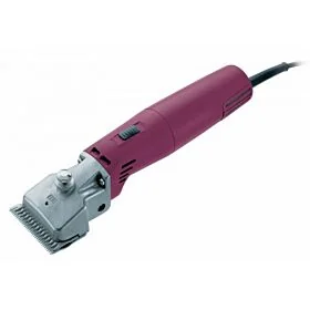 Econom Equipe GT 674