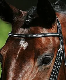 Passier Frontriem met Strass Stenen 