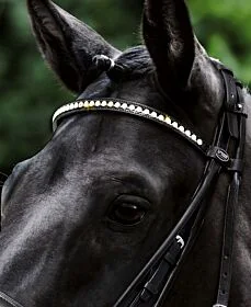 Passier Frontriem met Grote Strass Stenen 