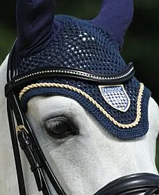 Passier Gebogen Frontriem met Strass Stenen 