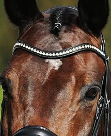 Passier Gebogen Frontriem met Grote Strass Stenen 