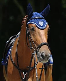 Passier Frontriem Onderlegd 