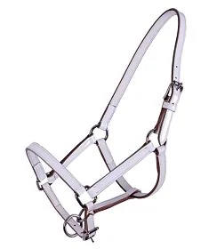 QHP Leren Veulenhalster Ilanura