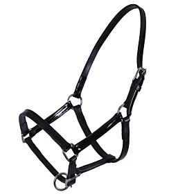 QHP Leren Veulenhalster Ilanura