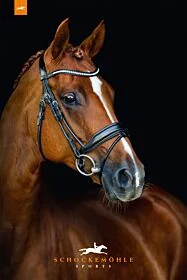 Schockemöhle rondgenaaid Hoofdstel Malibu