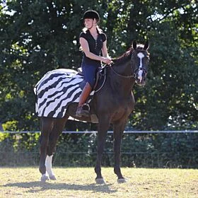 Bucas Riding Rug Zebra 