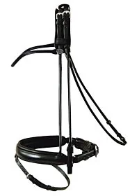 Passier Hoofdstel Bremen