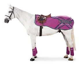 Eskadron nier- uitrijdeken Bicross Pink