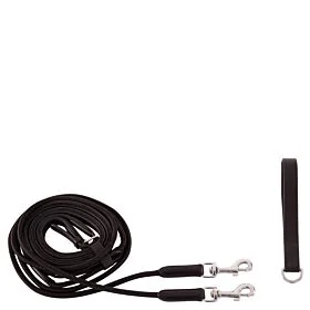 BR Slofteugel Norwich