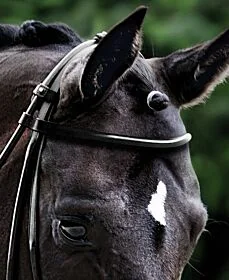 Passier Frontriem Rondgenaaid 