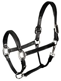 Harry's Horse leren Halster Padded