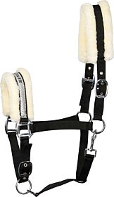 Harry's Horse Halster Lyrics V HORSE POWER